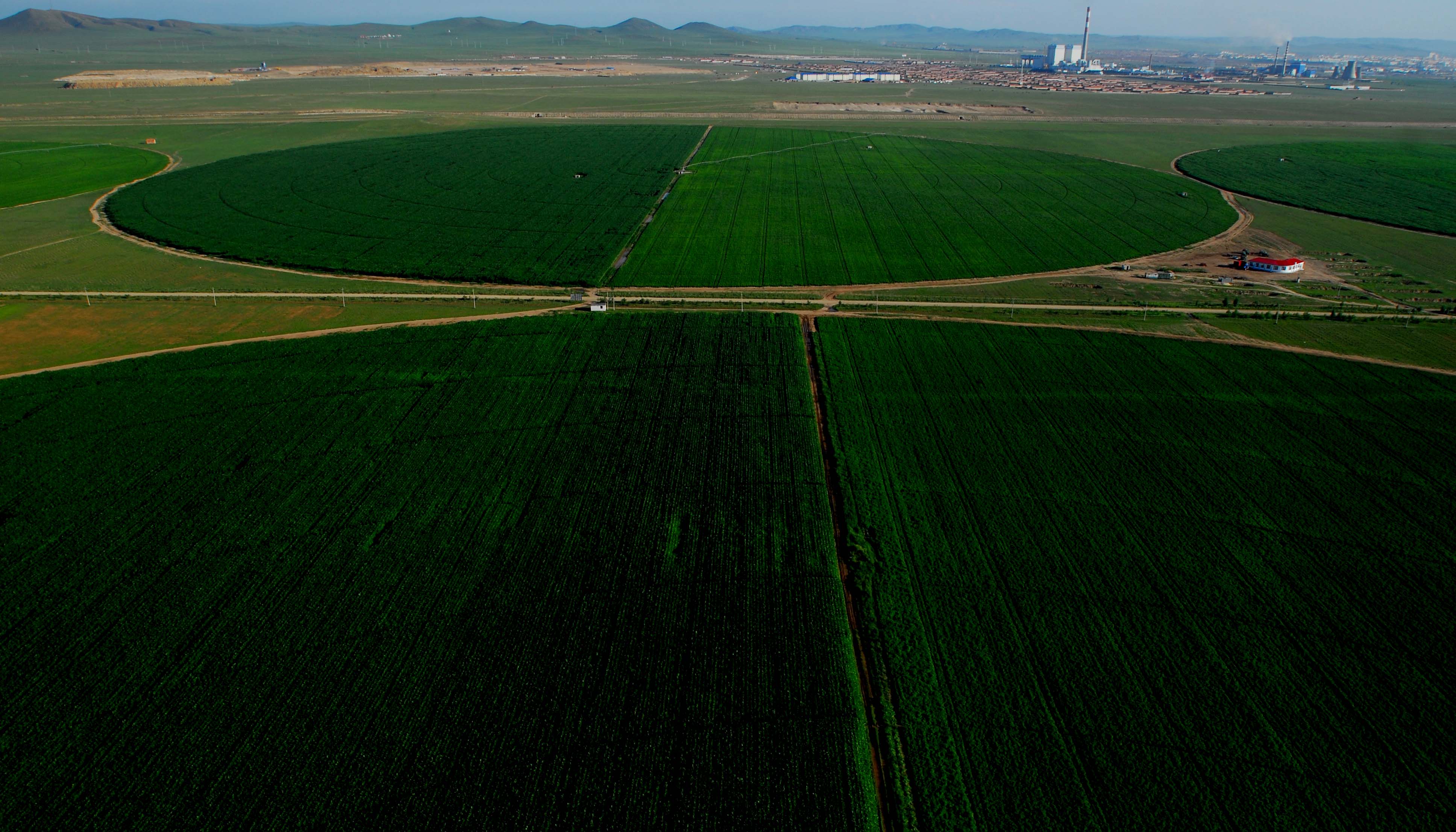 俯瞰.心中的綠色