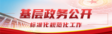 基層政務(wù)公開(kāi) 標(biāo)準(zhǔn)化規(guī)范化工作