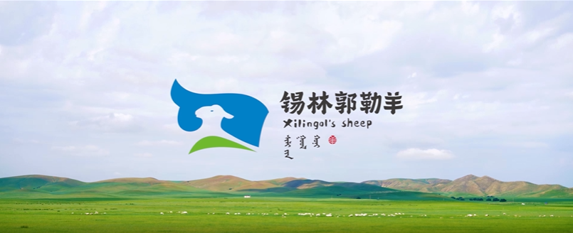 錫林郭勒羊宣傳片