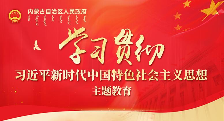 學(xué)習(xí)貫徹習(xí)近平新時(shí)代中國(guó)特色社會(huì)主義思想主題教育