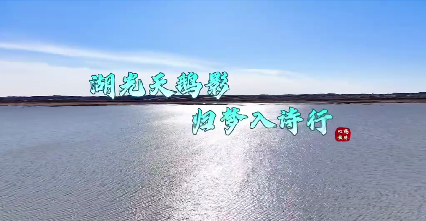 錫林浩特：湖光天鵝影 歸夢入詩行