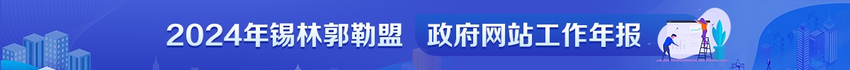 2024年政府網(wǎng)站工作年報(bào)
