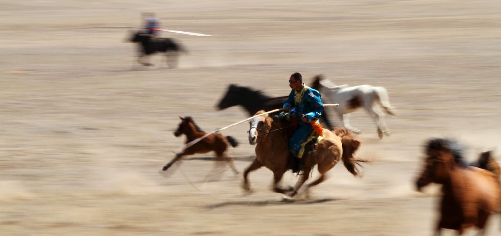 精湛的套馬技藝